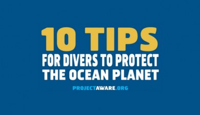 10 Tips for Divers To Protect The Ocean planet slide