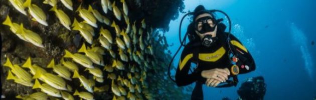 Life Lessons from SCUBA Diving