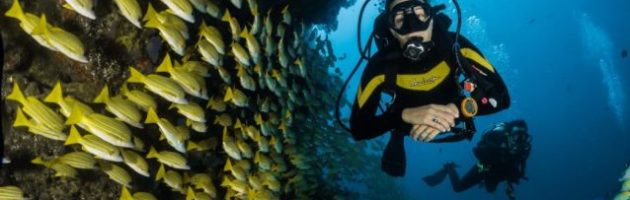 Life Lessons from SCUBA Diving